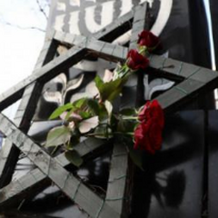 "27 января день памяти Холокоста"